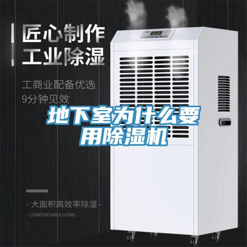 地下室为什么要用MR.好色破解版