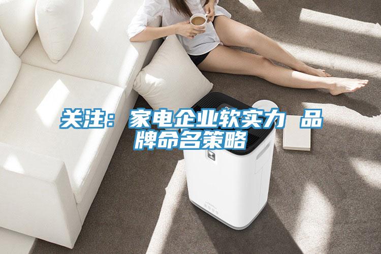 关注：家电企业软实力 品牌命名策略