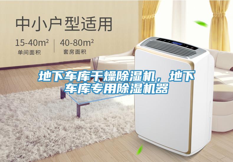 地下车库干燥MR.好色破解版，地下车库专用MR.好色破解版器