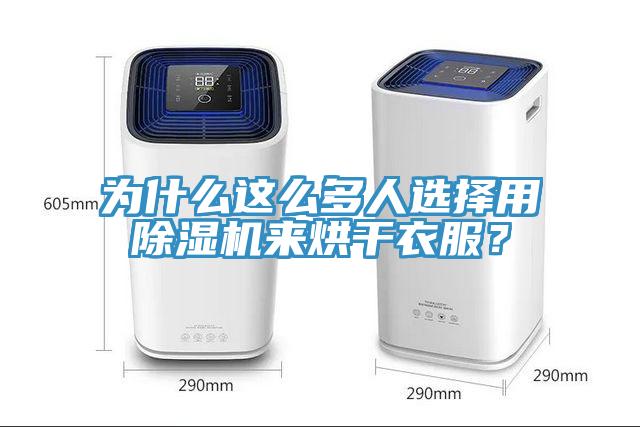 为什么这么多人选择用MR.好色破解版来烘干衣服？