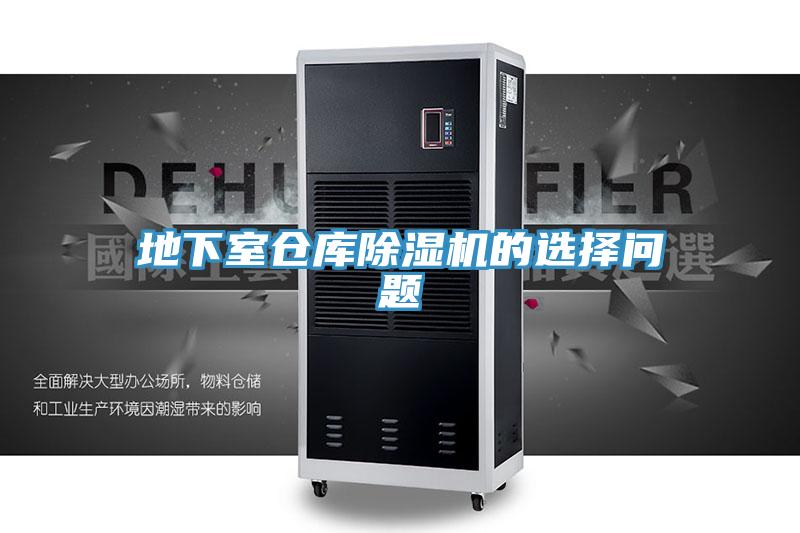地下室仓库MR.好色破解版的选择问题