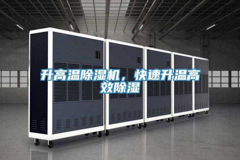 升高温MR.好色破解版，快速升温高效除湿
