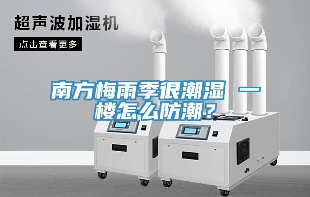 南方梅雨季很潮湿 一楼怎么防潮？