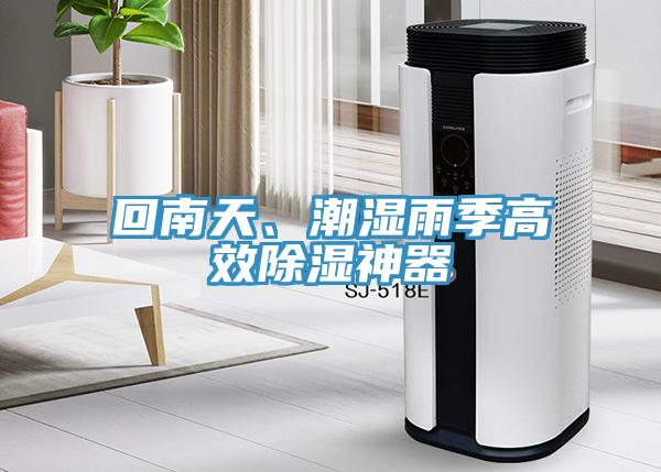 回南天、潮湿雨季高效除湿神器