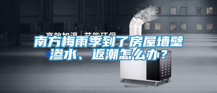 南方梅雨季到了房屋墙壁渗水、返潮怎么办？