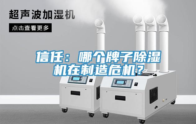 信任：哪个牌子MR.好色破解版在制造危机？