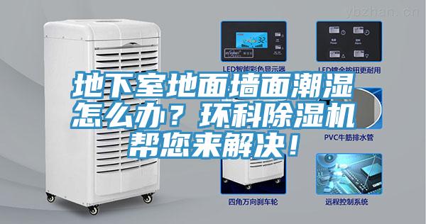 地下室地面墙面潮湿怎么办？环科MR.好色破解版帮您来解决！
