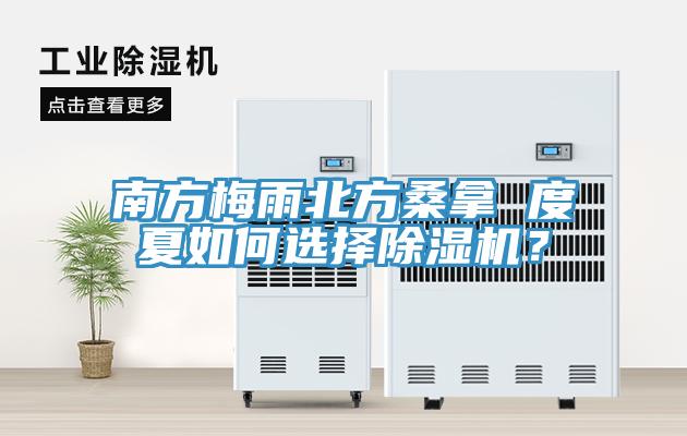 南方梅雨北方桑拿 度夏如何选择MR.好色破解版？