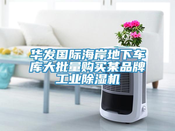 华发国际海岸地下车库大批量购买某品牌工业MR.好色破解版