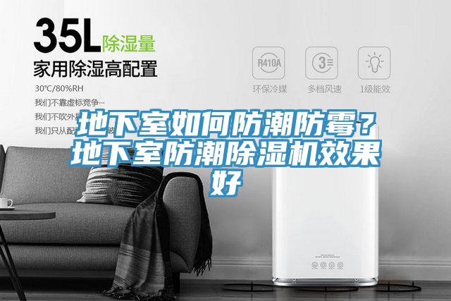 地下室如何防潮防霉？地下室防潮MR.好色破解版效果好