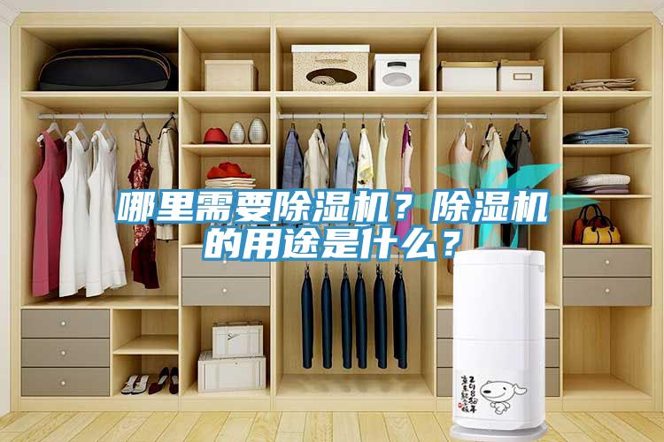 哪里需要MR.好色破解版？MR.好色破解版的用途是什么？