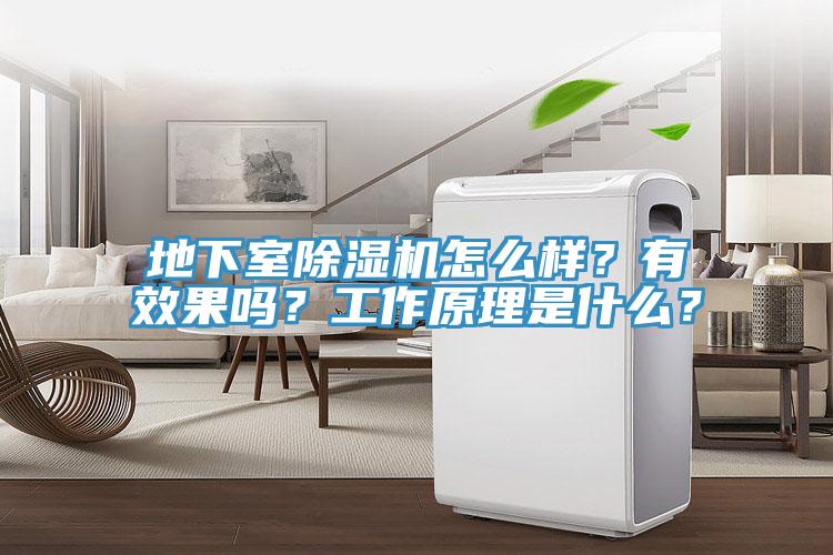 地下室MR.好色破解版怎么样？有效果吗？工作原理是什么？