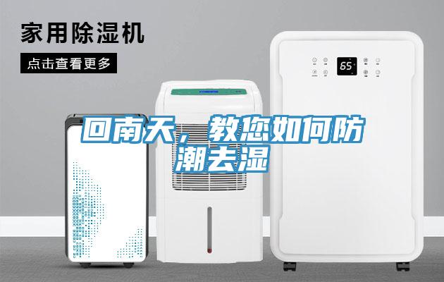 回南天，教您如何防潮去湿