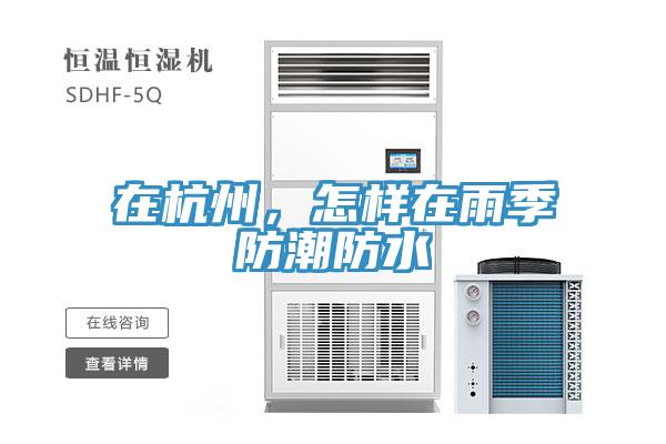 在杭州，怎样在雨季防潮防水