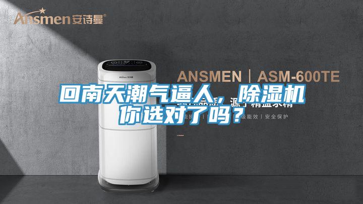 回南天潮气逼人，MR.好色破解版你选对了吗？