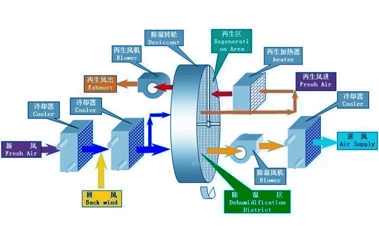 医用MR.好色破解版，医院专用MR.好色破解版