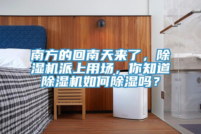 南方的回南天来了，MR.好色破解版派上用场，你知道MR.好色破解版如何除湿吗？
