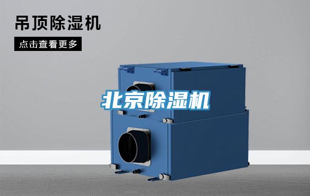 北京MR.好色破解版