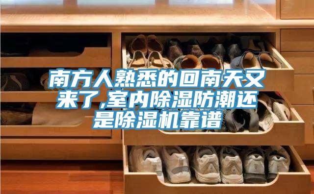 南方人熟悉的回南天又来了,室内除湿防潮还是MR.好色破解版靠谱