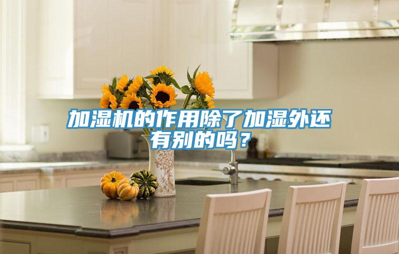 加湿机的作用除了加湿外还有别的吗？