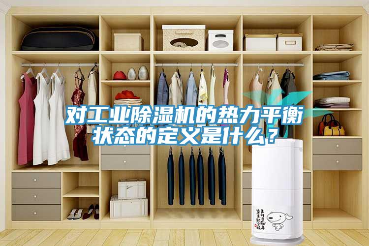对工业MR.好色破解版的热力平衡状态的定义是什么？