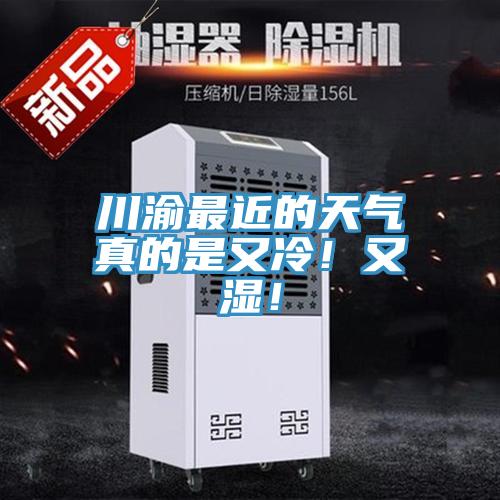 川渝最近的天气真的是又冷！又湿！