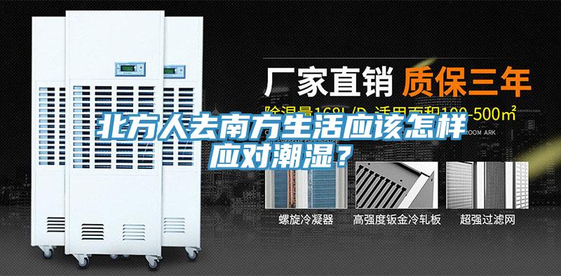 北方人去南方生活应该怎样应对潮湿？
