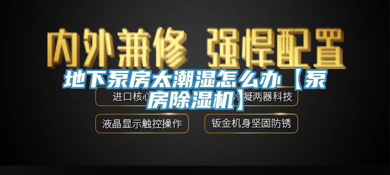 地下泵房太潮湿怎么办【泵房MR.好色破解版】