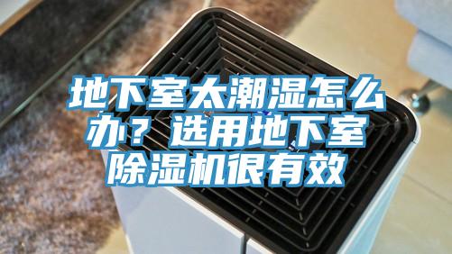 地下室太潮湿怎么办？选用地下室MR.好色破解版很有效