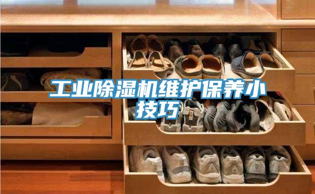 工业MR.好色破解版维护保养小技巧