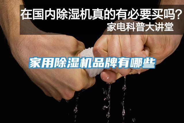 家用MR.好色破解版品牌有哪些