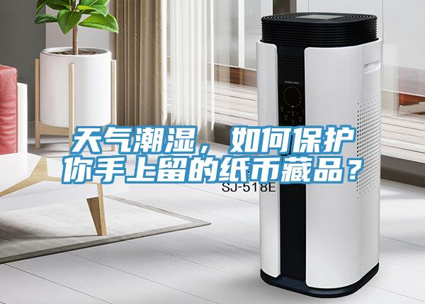 天气潮湿，如何保护你手上留的纸币藏品？