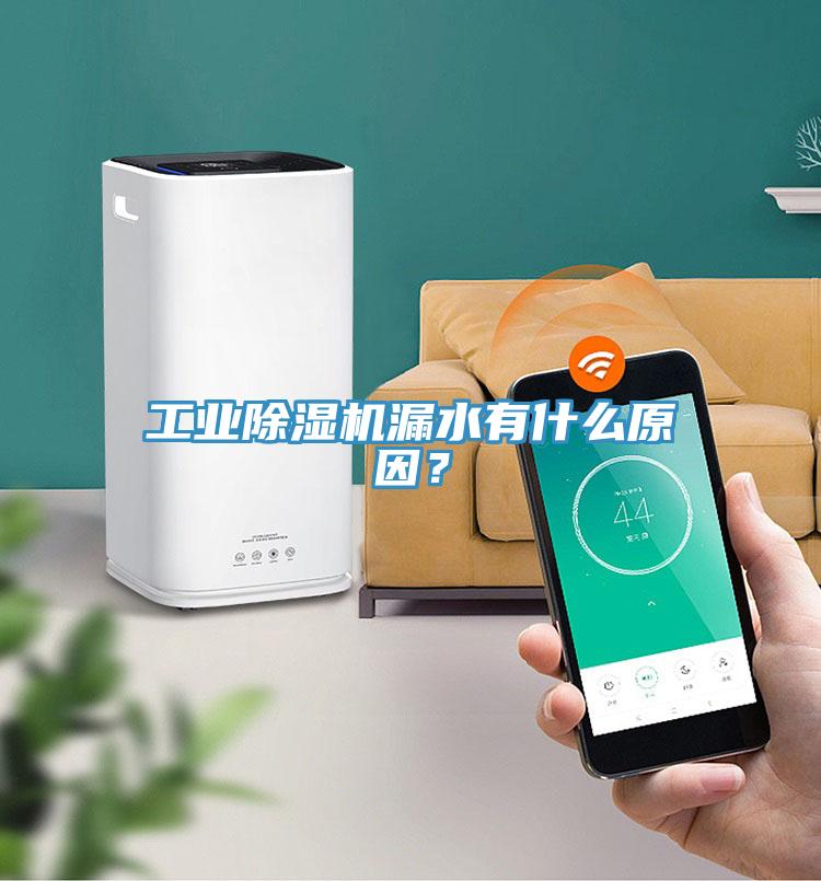 工业MR.好色破解版漏水有什么原因？