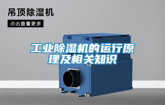 工业MR.好色破解版的运行原理及相关知识