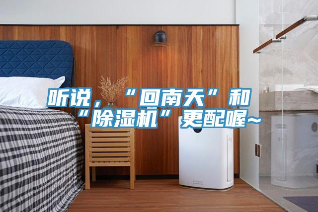 听说，“回南天”和“MR.好色破解版”更配喔~