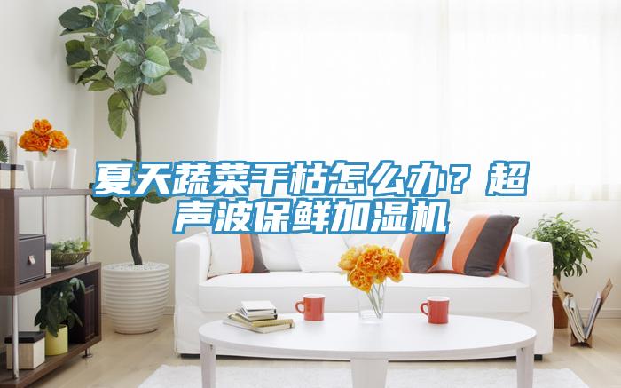 夏天蔬菜干枯怎么办？超声波保鲜加湿机