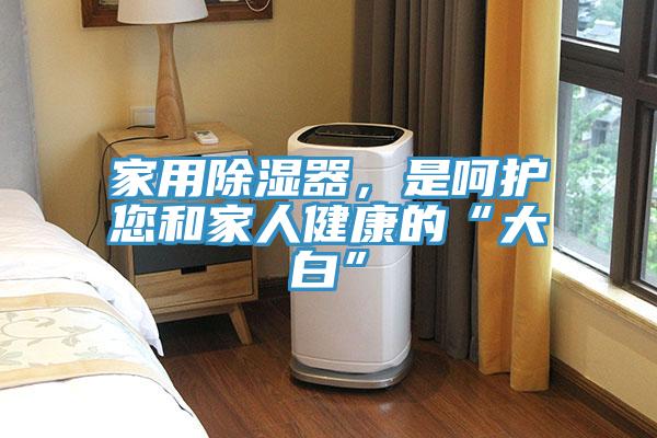 家用除湿器，是呵护您和家人健康的“大白”