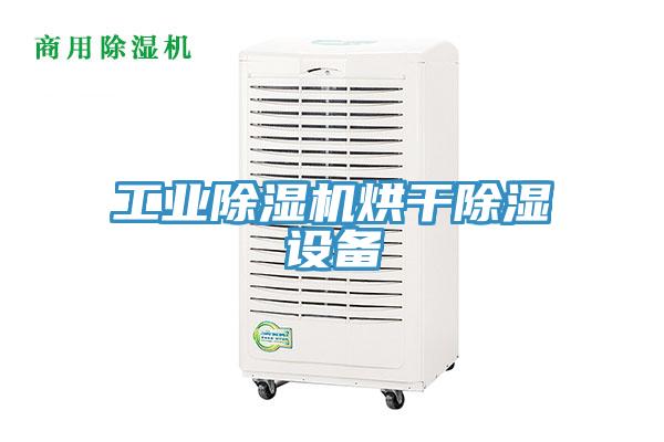 工业MR.好色破解版烘干除湿设备