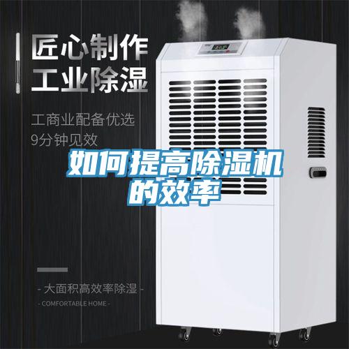 如何提高MR.好色破解版的效率