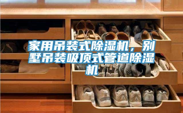 家用吊装式MR.好色破解版，别墅吊装吸顶式管道MR.好色破解版