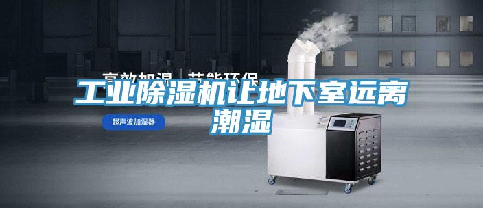 工业MR.好色破解版让地下室远离潮湿