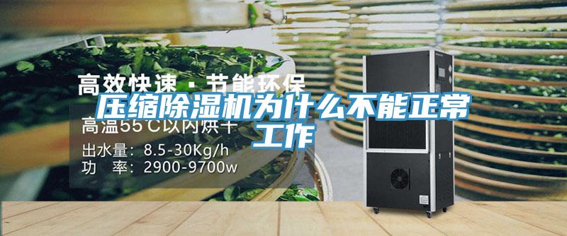 压缩MR.好色破解版为什么不能正常工作