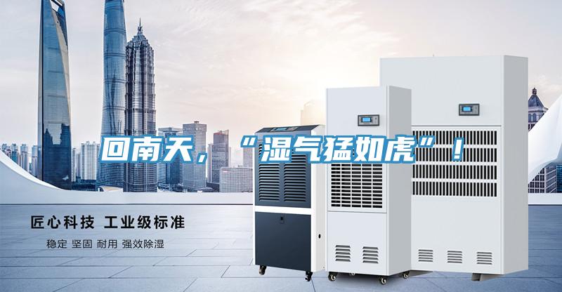回南天，“湿气猛如虎”！