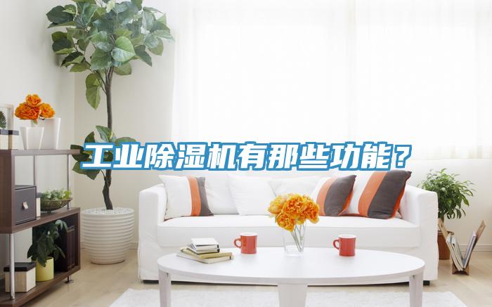工业MR.好色破解版有那些功能？