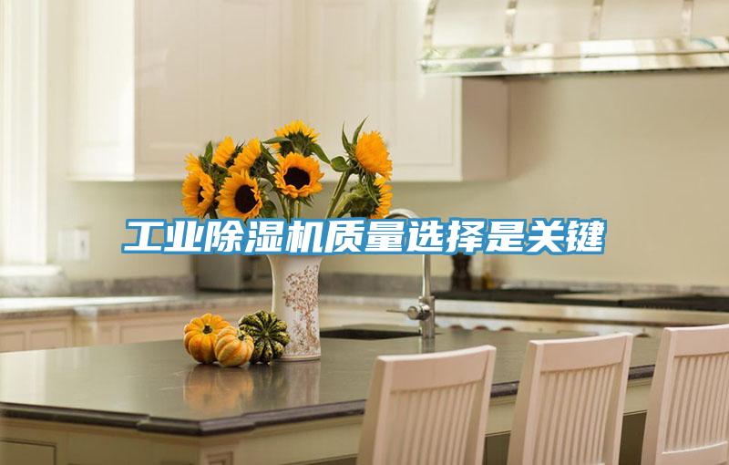 工业MR.好色破解版质量选择是关键