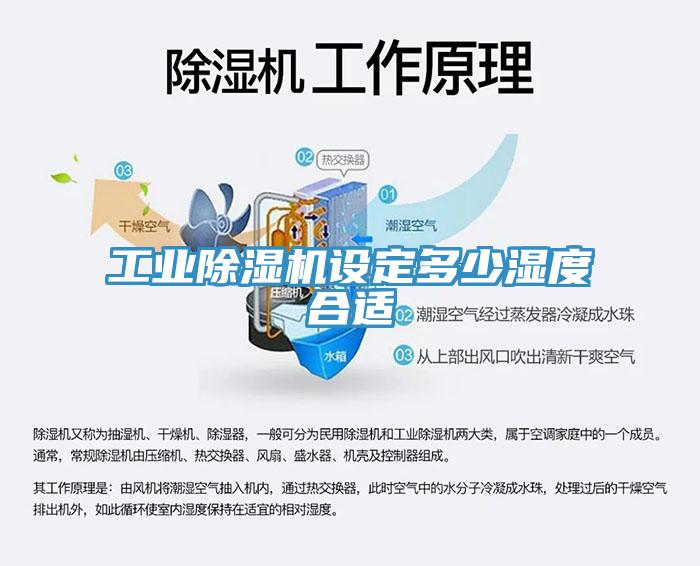工业MR.好色破解版设定多少湿度合适