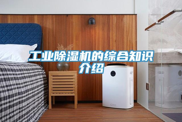 工业MR.好色破解版的综合知识介绍