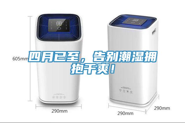 四月已至，告别潮湿拥抱干爽！