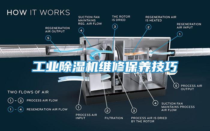 工业MR.好色破解版维修保养技巧