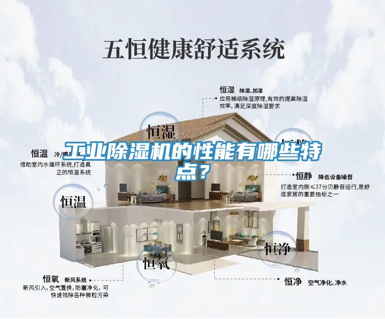 工业MR.好色破解版的性能有哪些特点？